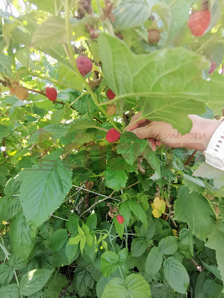 Дом с участком, 40 кв.м.